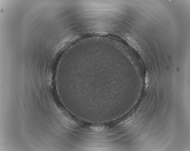 X0000088430693200705221247