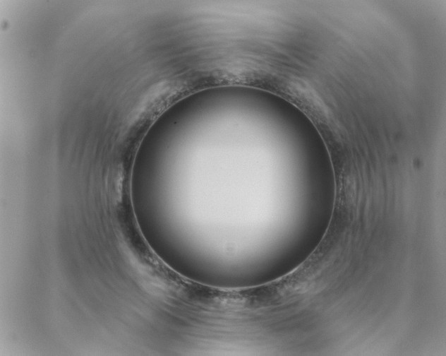 X0000088430694200705221247