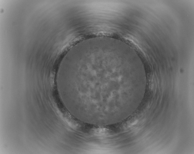 X0000088430695200705221247