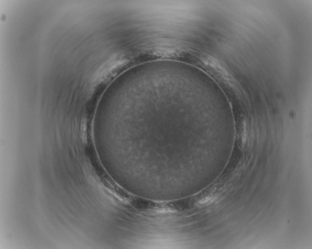 X0000088430696200705221247