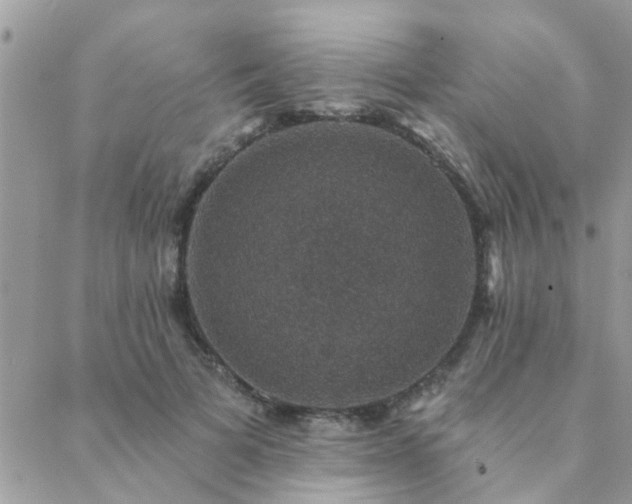 X0000088430697200705221247