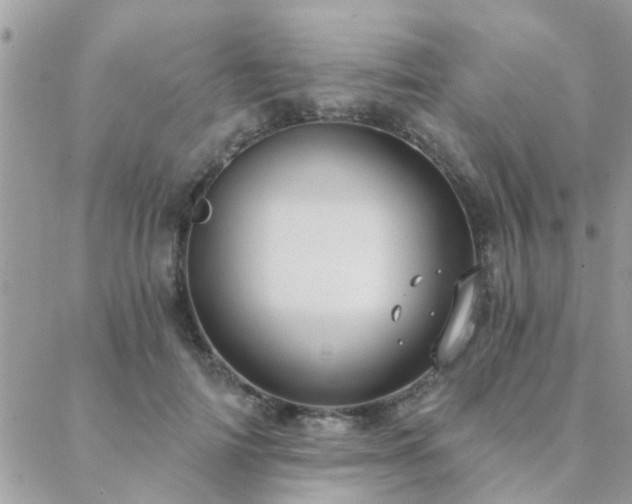 X0000088430698200705221247