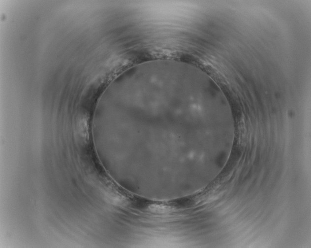 X0000088430699200705221247