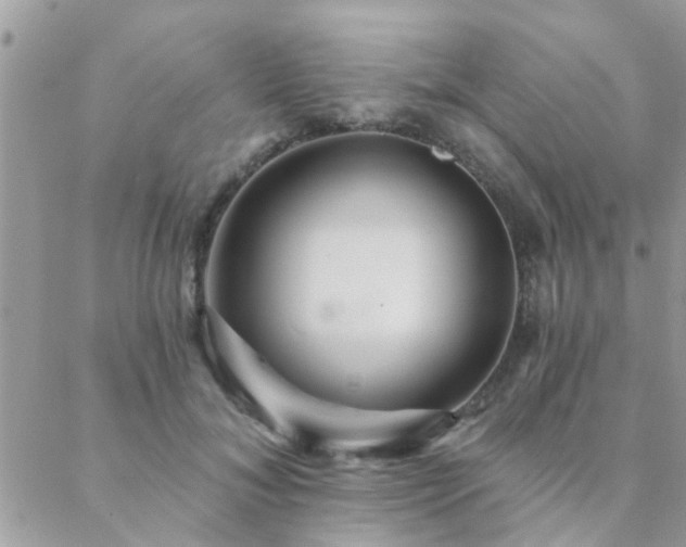 X0000088430700200705221247