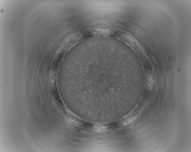 X0000088430701200705221247