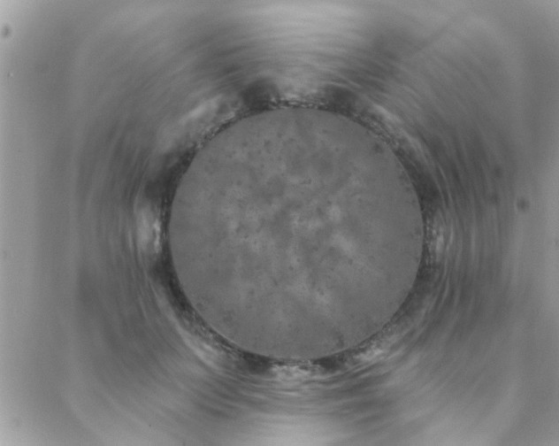 X0000088430703200705221247