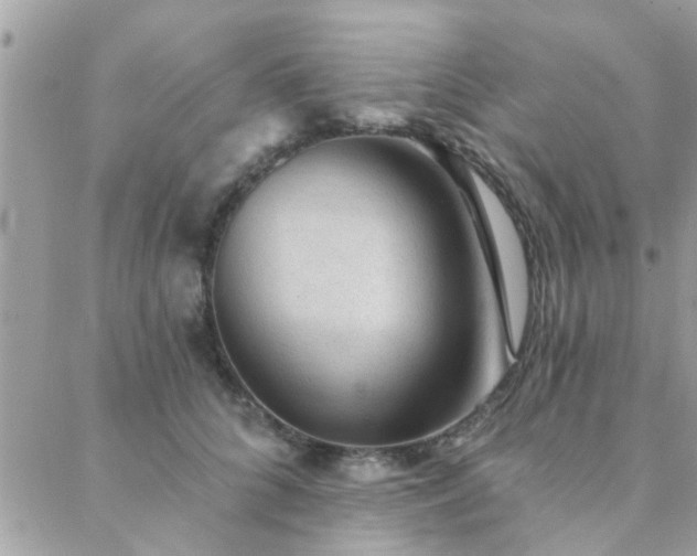 X0000088430704200705221247