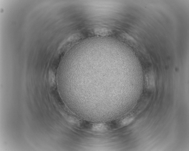 X0000088430705200705221247