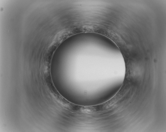 X0000088430706200705221247