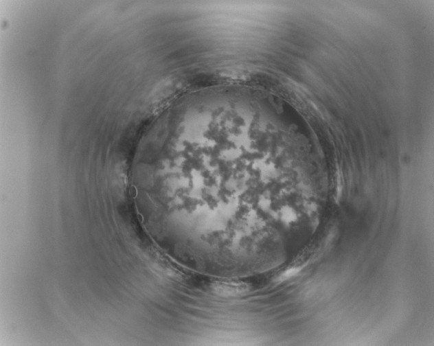 X0000088430707200705221247