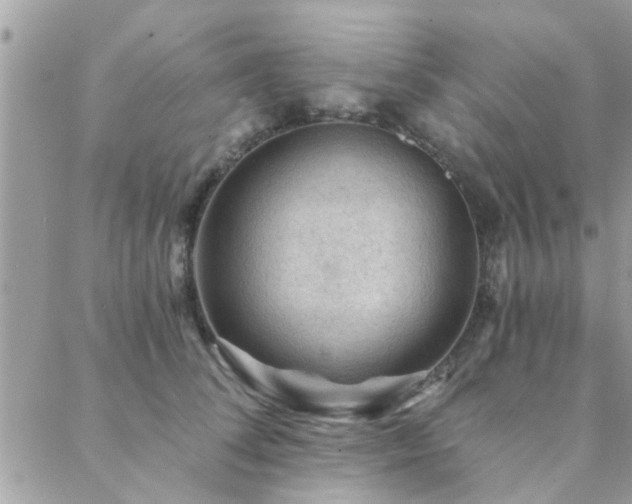 X0000088430708200705221247