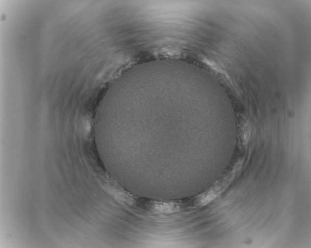 X0000088430709200705221247