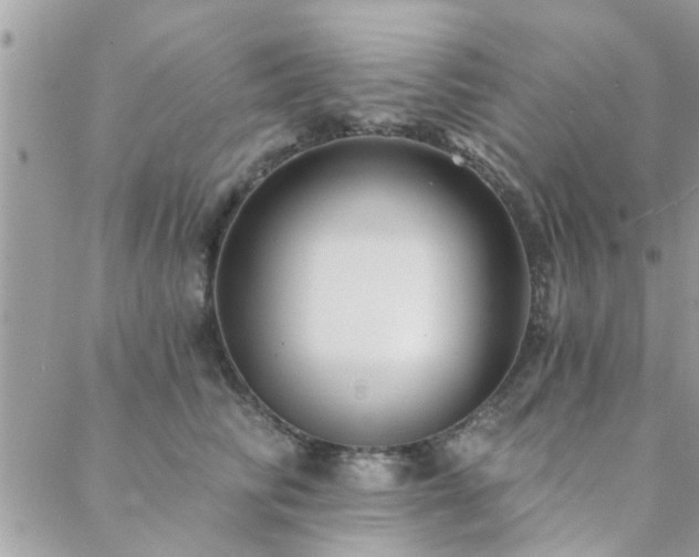 X0000088430710200705221247