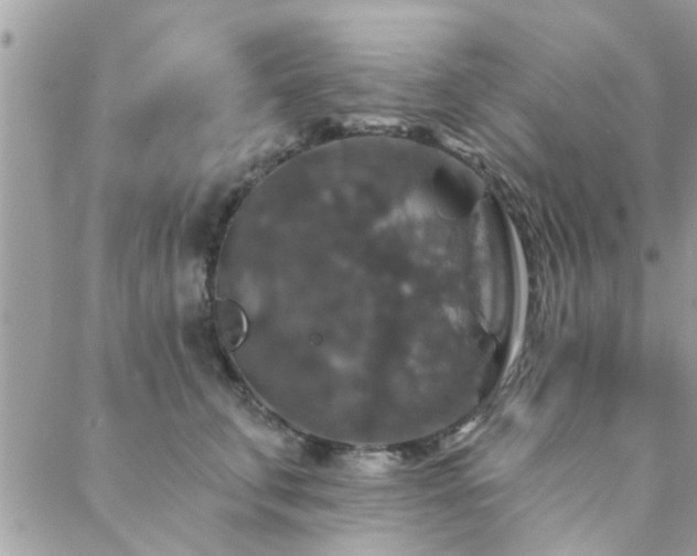 X0000088430711200705221247