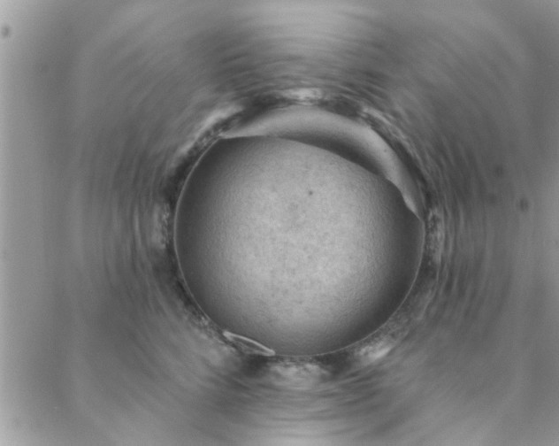 X0000088430712200705221247