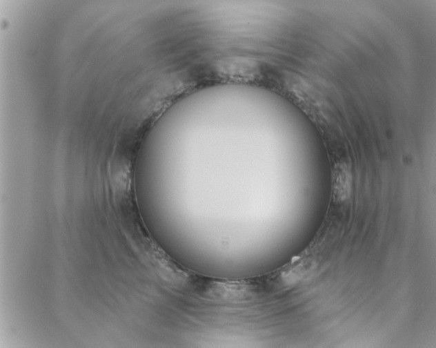 X0000088430713200705221247