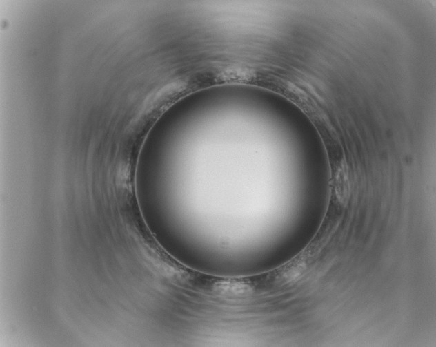 X0000088430714200705221247