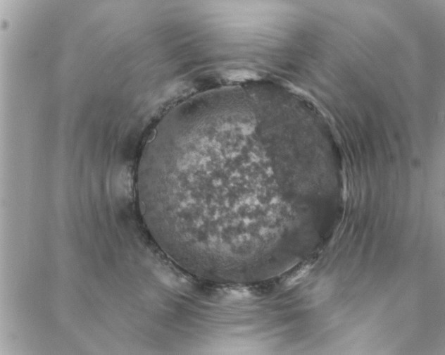 X0000088430715200705221247