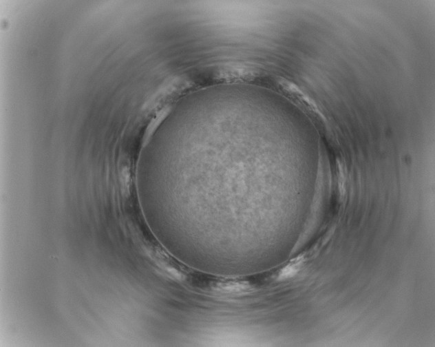 X0000088430716200705221247