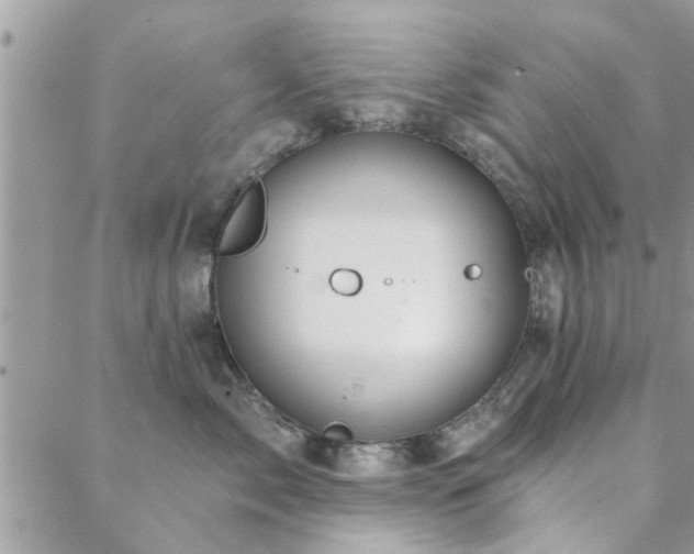 X0000088430717200705221247