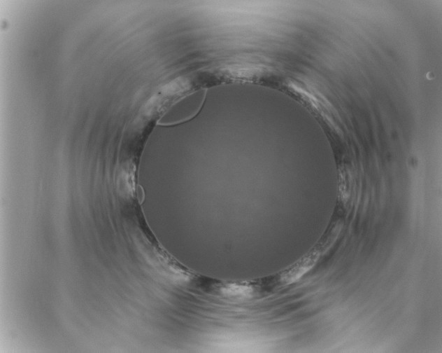 X0000088430718200705221247