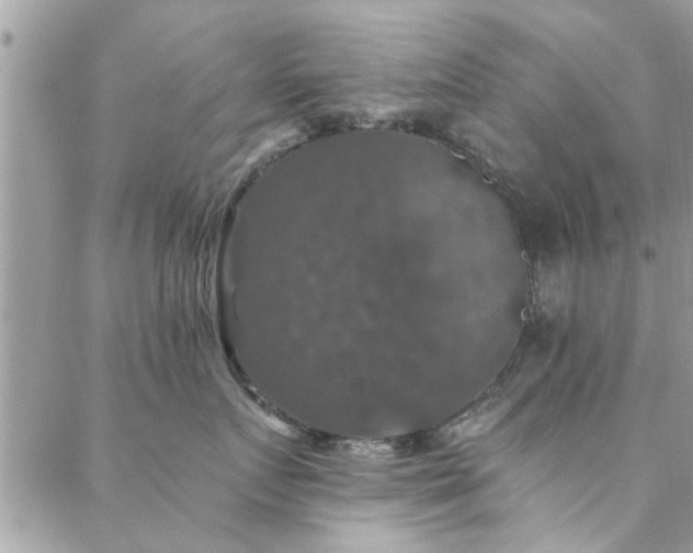 X0000088430719200705221247