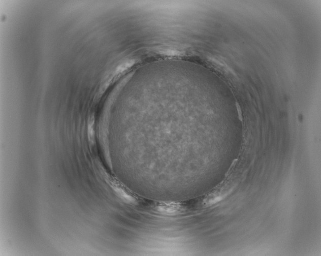 X0000088430720200705221247