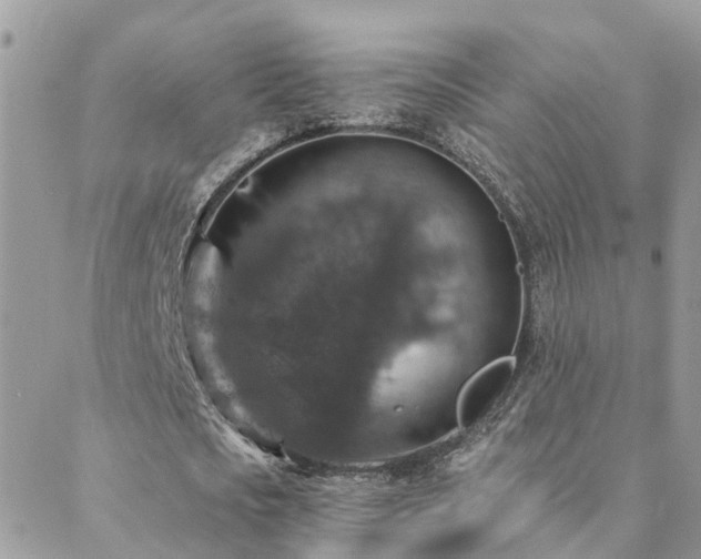 X0000088430721200705221246