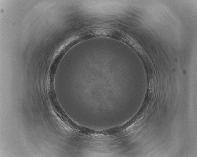 X0000088430722200705221246