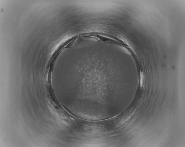 X0000088430723200705221246