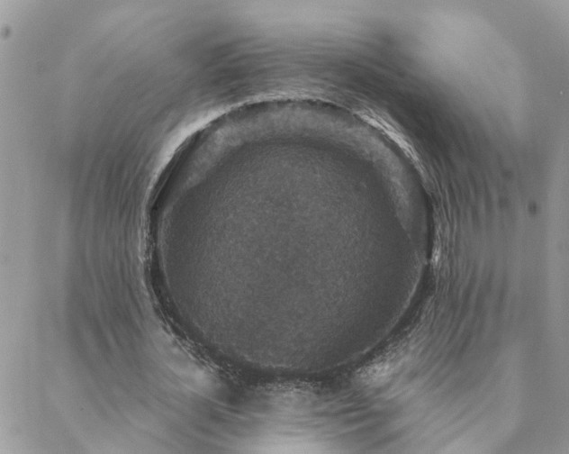 X0000088430724200705221246