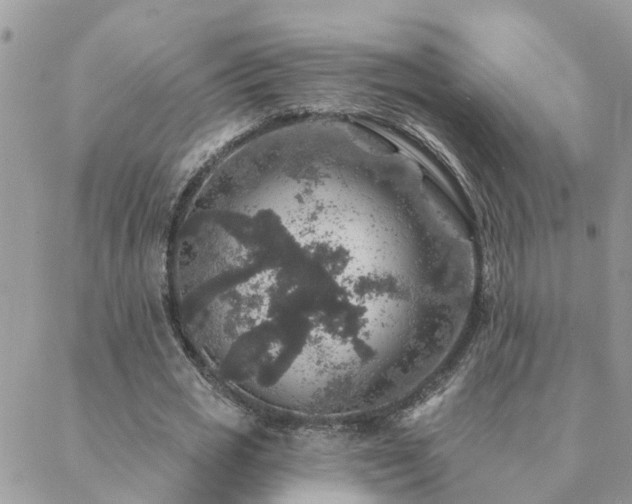 X0000088430725200705221246