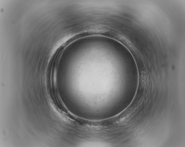 X0000088430726200705221246