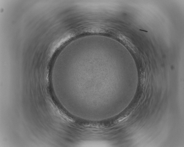 X0000088430727200705221246