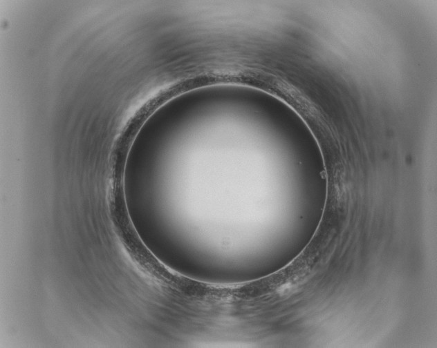 X0000088430728200705221246