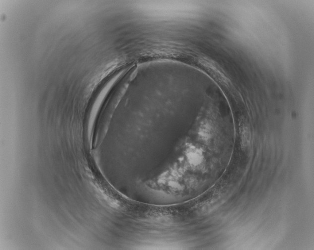 X0000088430729200705221246