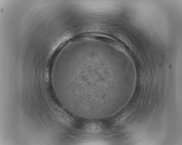 X0000088430731200705221246