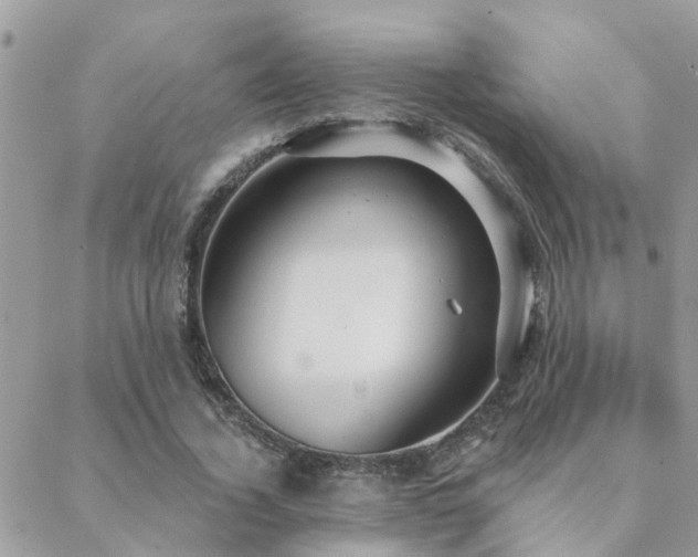 X0000088430732200705221246