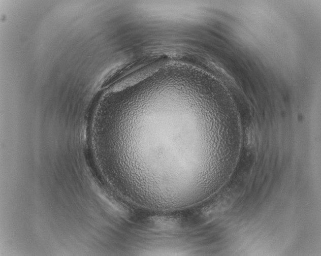 X0000088430733200705221246