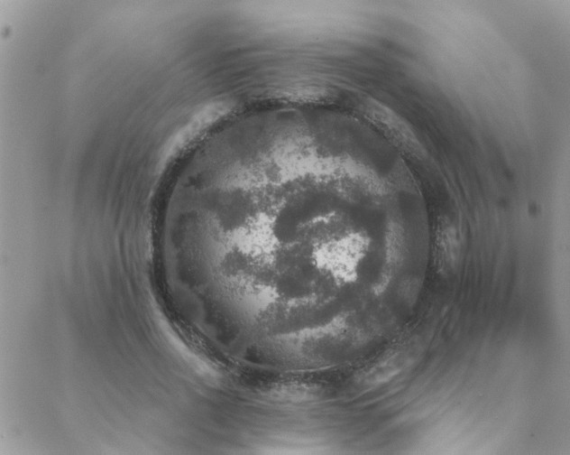 X0000088430734200705221246