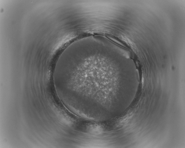 X0000088430735200705221246