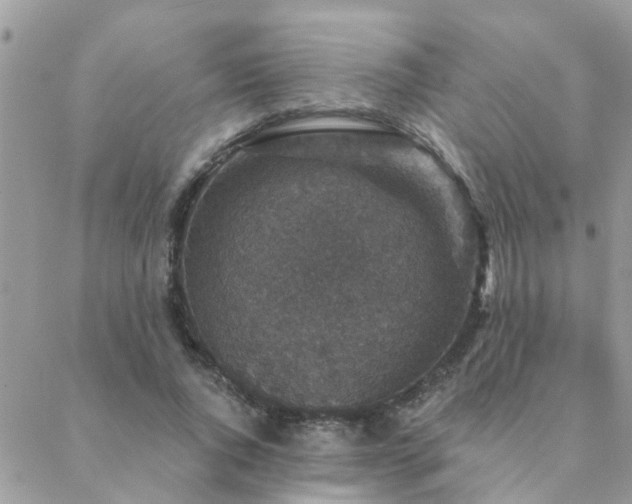 X0000088430736200705221246