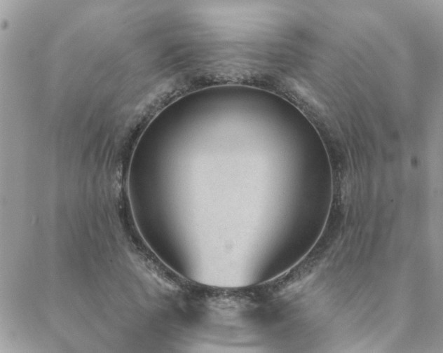 X0000088430737200705221246