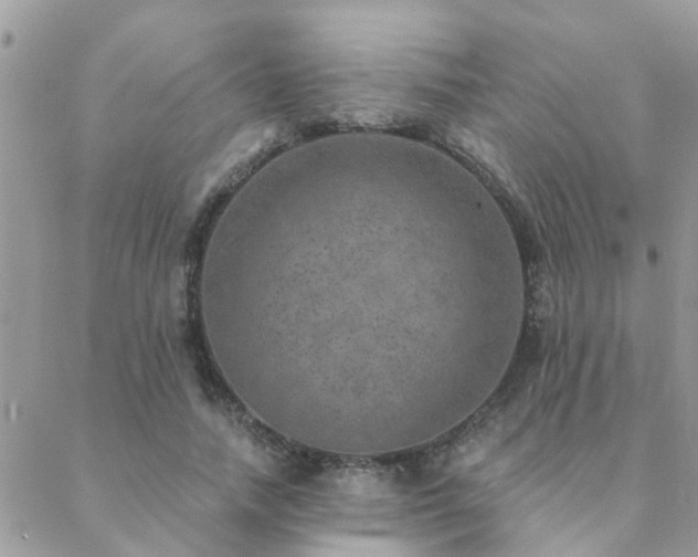 X0000088430738200705221246