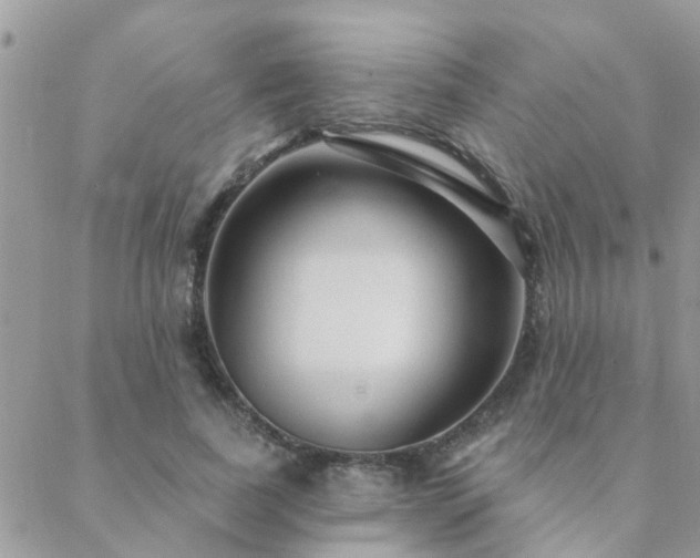 X0000088430739200705221247