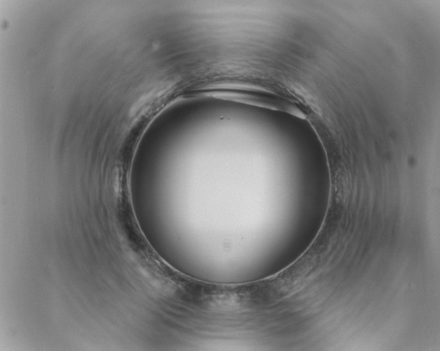 X0000088430740200705221247