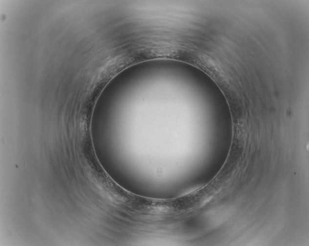 X0000088430741200705221247