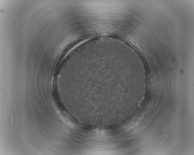 X0000088430742200705221247