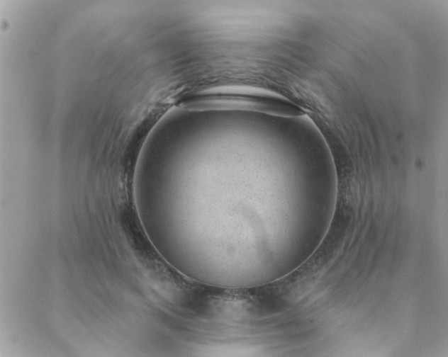 X0000088430743200705221247