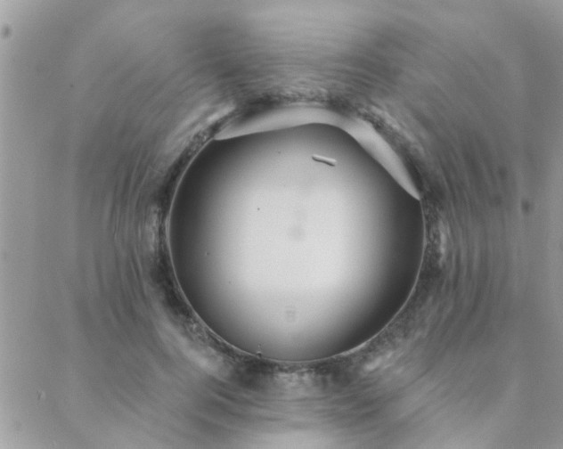 X0000088430744200705221247